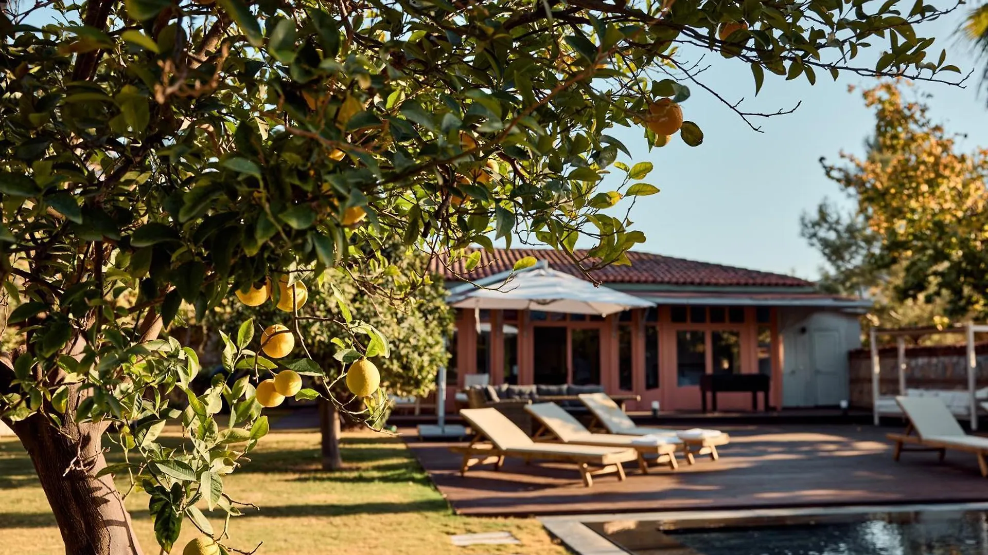 Jungle Eva Bodrum